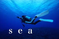 �C�̃����f�B�[�Ŋy���ނƂ��Ă����̑̌��_�C�r���O