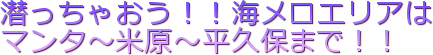 潜っちゃおう!!海メロエリアは マンタ~米原~平久保まで!!