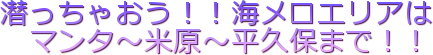 潜っちゃおう!!海メロエリアは マンタ~米原~平久保まで!!